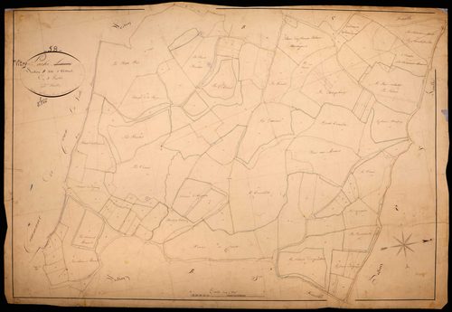 Vitry-Laché, cadastre ancien : plan parcellaire de la section B dite d'Assars, feuille 2