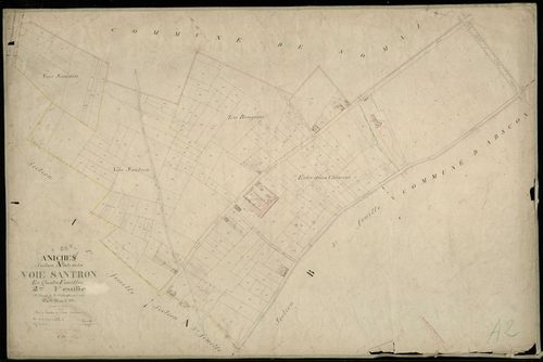 ANICHE - 1876