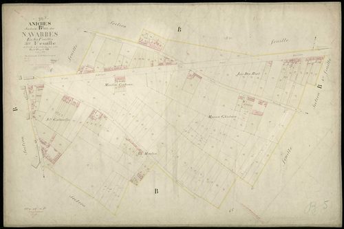 ANICHE - 1876