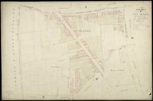 ANICHE - 1876