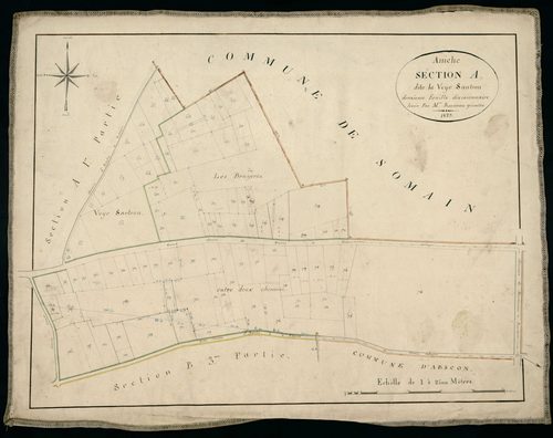 ANICHE - 1823