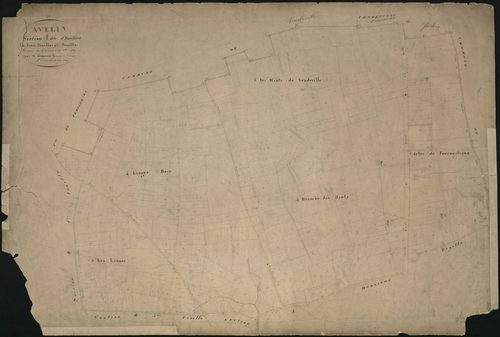 AVELIN - 1811