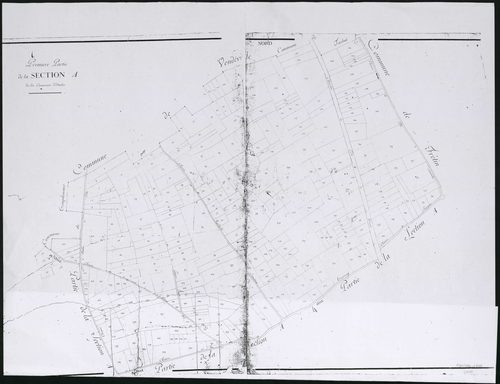 AVELIN - 1811