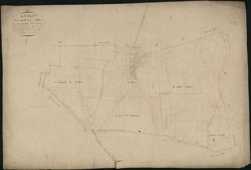 AVELIN - 1811