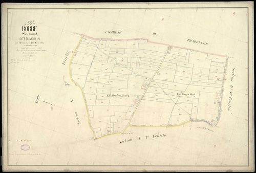 BORRE - 1899