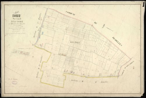 BORRE - 1899