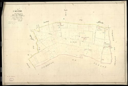 CAESTRE - 1899
