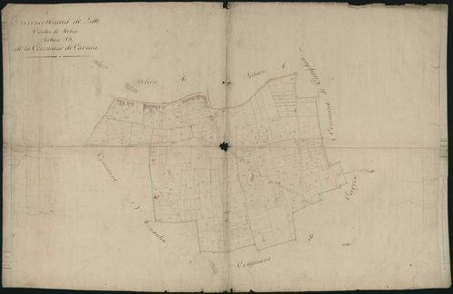 CARNIN - 1812