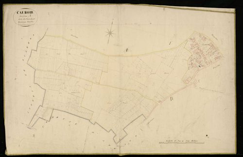 CAUROIR - 1829