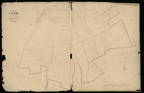 CAUROIR - 1829