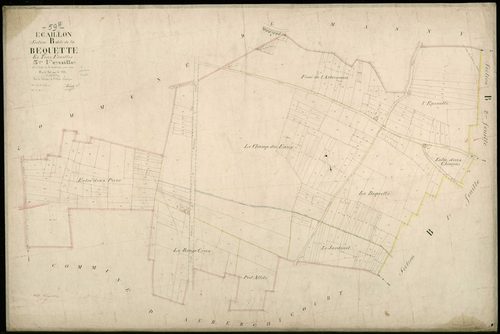 ECAILLON - 1877