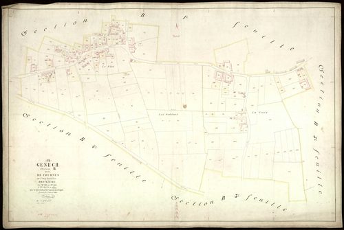 GENECH - 1884