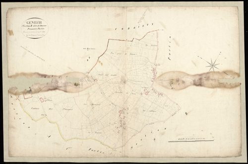 GENECH - 1824