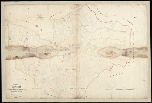 GENECH - 1824