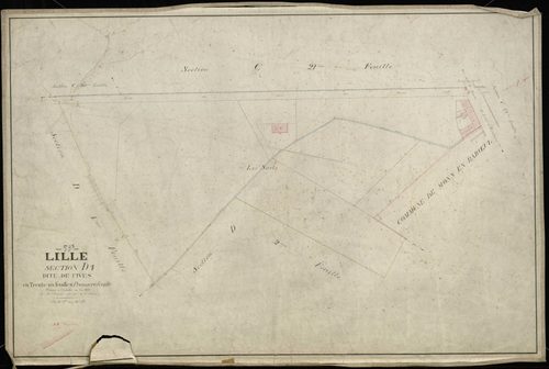 LILLE - 1881 (D1-D36)
