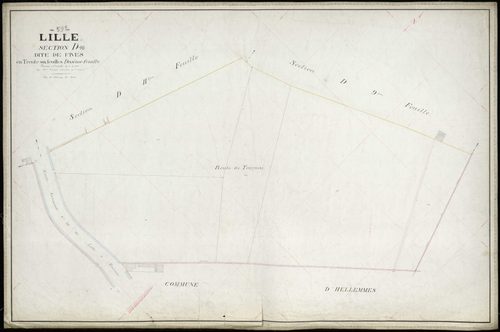 LILLE - 1881 (D1-D36)