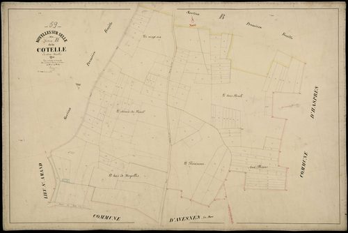 NOYELLES-SUR-SELLE - 1810