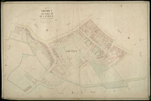 ORCHIES - 1874