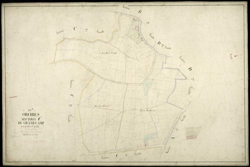 ORCHIES - 1874