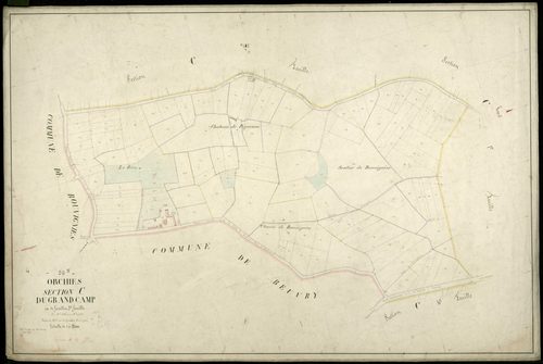 ORCHIES - 1874