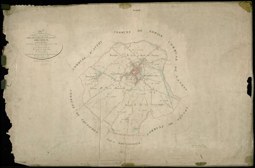 ORCHIES - 1874
