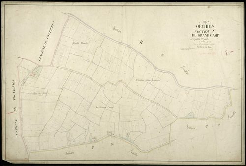 ORCHIES - 1874