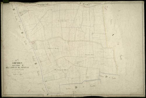 ORCHIES - 1874