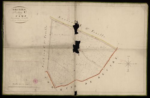ORCHIES - 1817