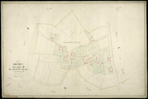 ORCHIES - 1874