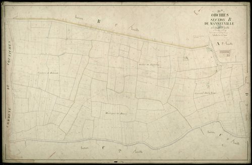 ORCHIES - 1874