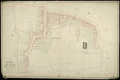 ORCHIES - 1874