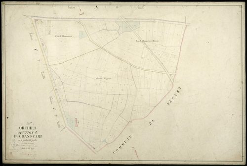 ORCHIES - 1874