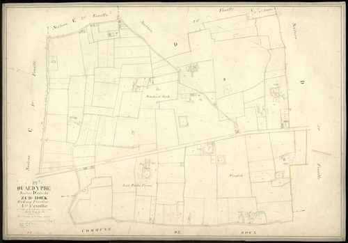 QUAEDYPRE - 1888