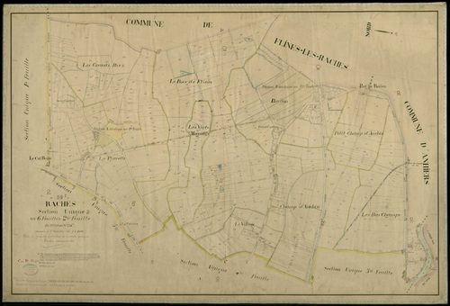RACHES - 1906