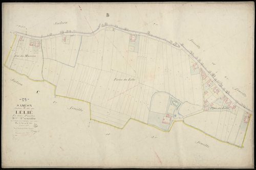 SAMEON - 1875
