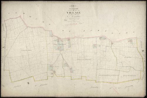 SAMEON - 1875