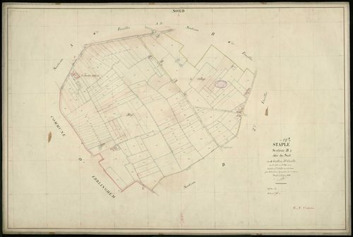 STAPLE - 1898