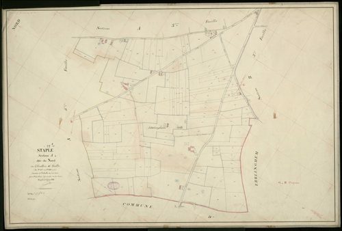 STAPLE - 1898