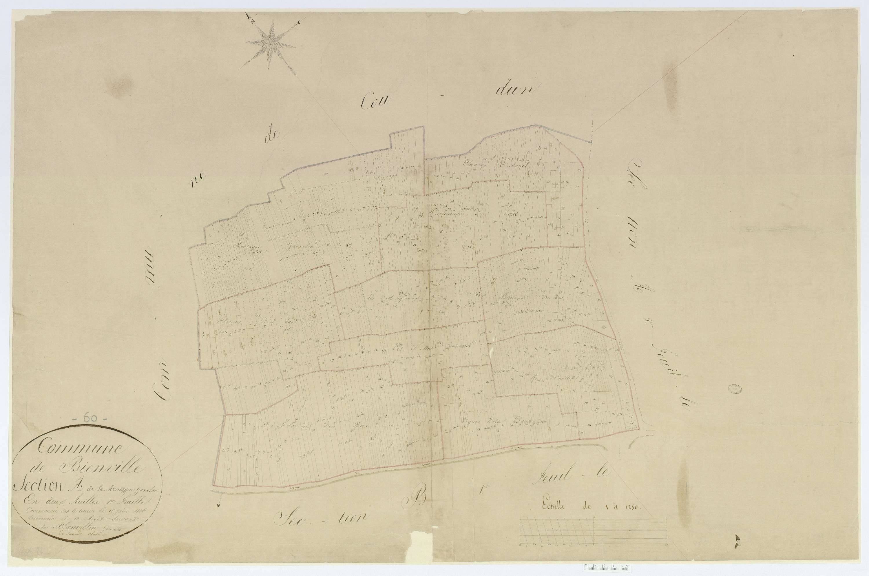 Bienville - Cadastre napoléonien, section A1