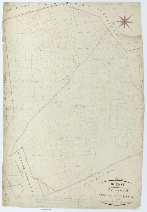 Borest - Cadastre napoléonien, section A, feuille unique