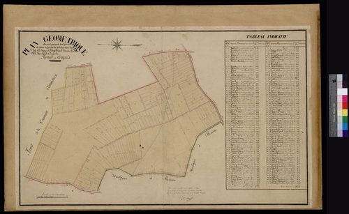 Cempuis - Cadastre napoléonien, plan géométrique, lieux-dits le Noyer, l'Argillière, derrière le Patis et le Montableau d'assemblagent de Lagache