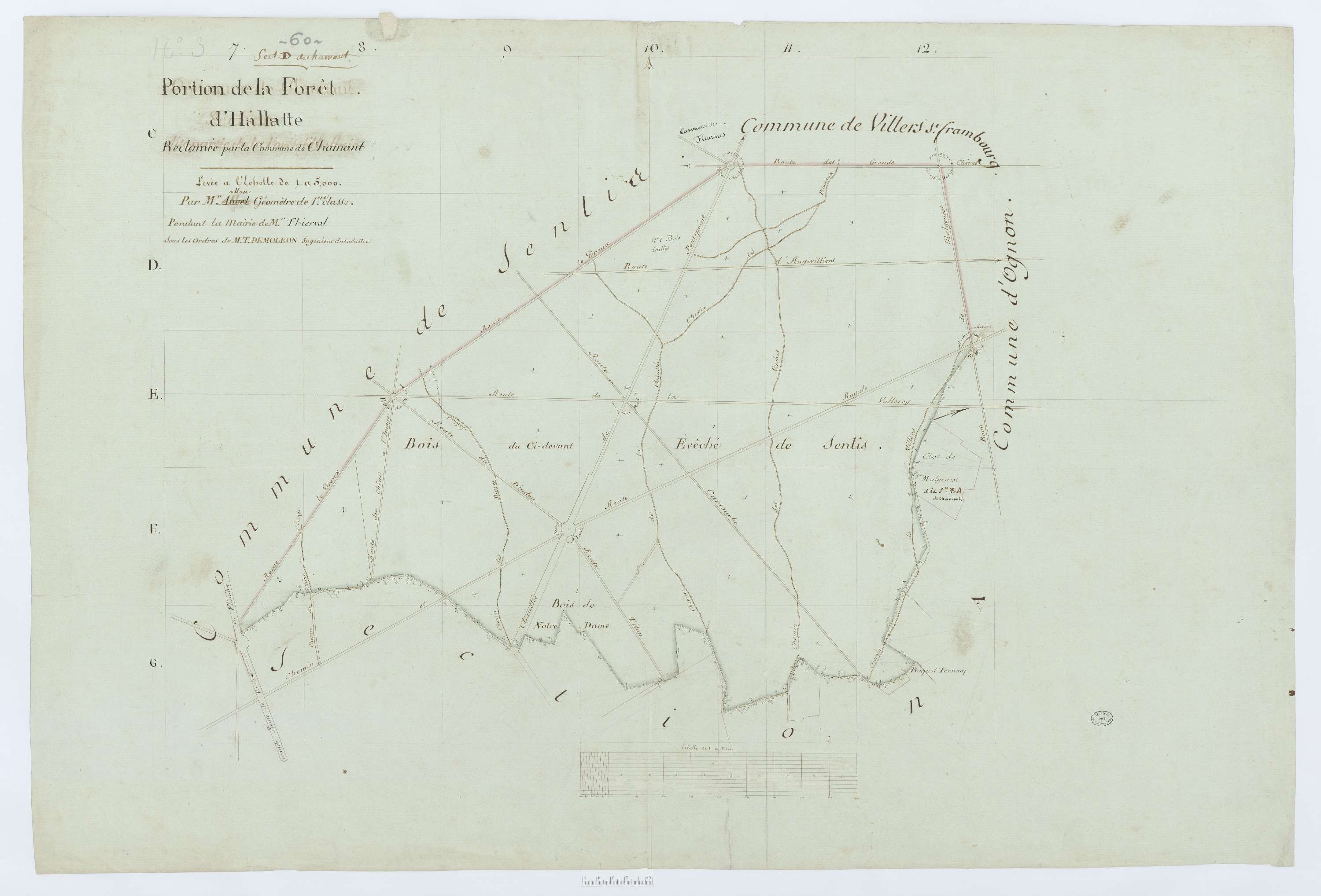 Chamant - Cadastre napoléonien (copie), section D, feuille unique