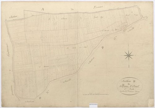 Chevrières - Cadastre napoléonien, section D1