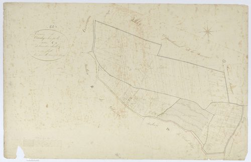 Conchy-les-Pots - Cadastre napoléonien, section C, feuille unique