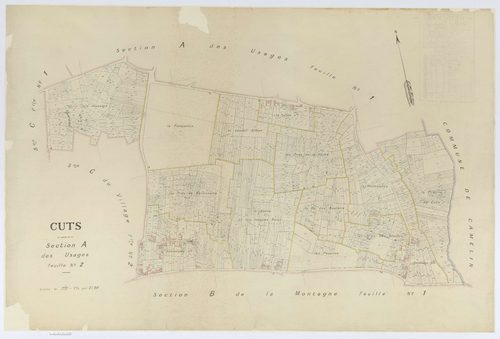 Cuts - Cadastre napoléonien (copie), section A2