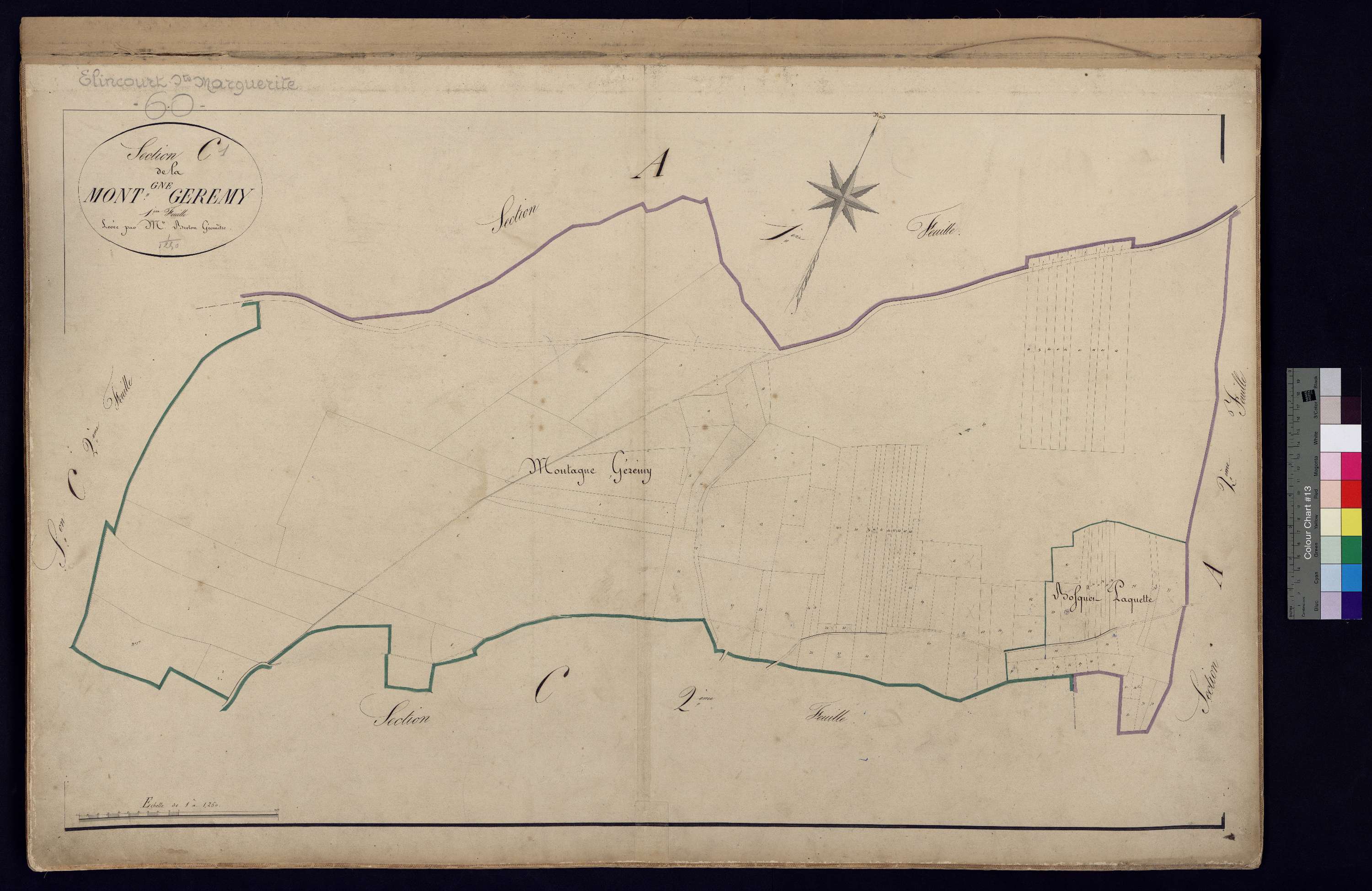 Élincourt-Sainte-Marguerite - Cadastre napoléonien, section C1