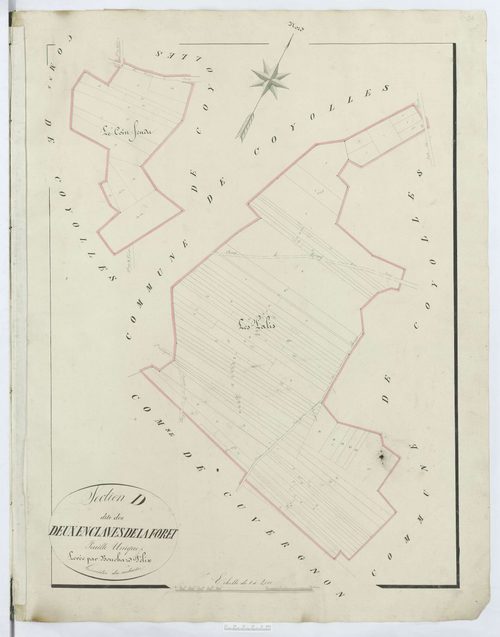 Ivors - Cadastre napoléonien, section D