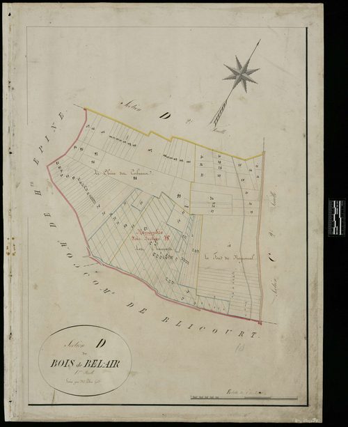 Lihus - Cadastre napoléonien, section D1