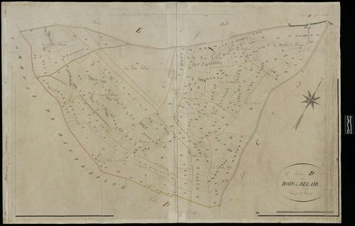 Lihus - Cadastre napoléonien, section D2