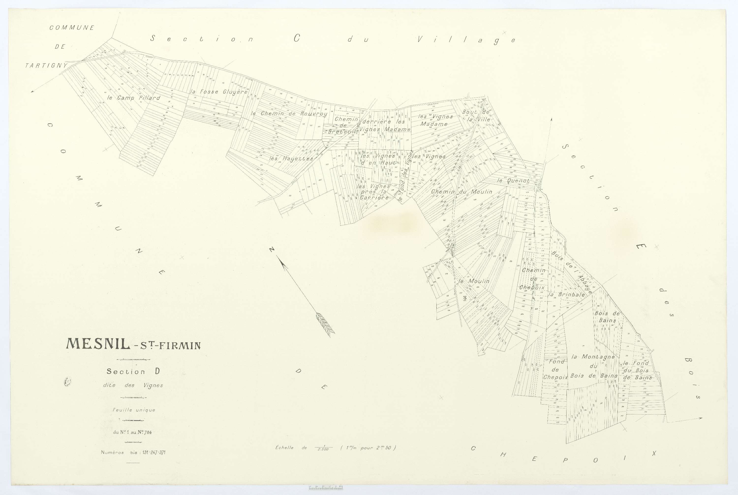 Le Mesnil-Saint-Firmin - Cadastre napoléonien (copie), section D, feuille unique